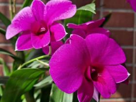 计数法有哪几种(计数法一共有几种)