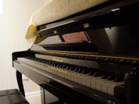 音乐特长生包括哪些(音乐类特长生包括都有哪些)