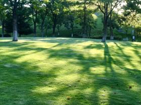 常以身翼蔽沛公的翼是什么意思(《鸿门宴》文言现象梳理)