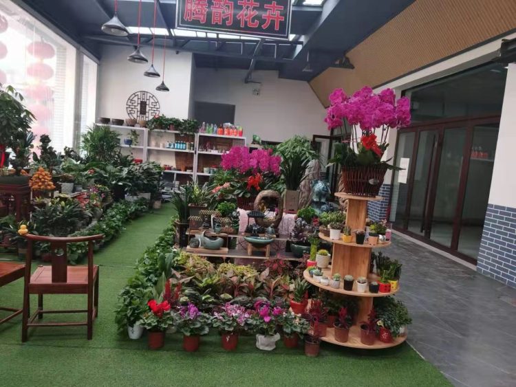 太原花卉市场，太原花卉基地在哪里