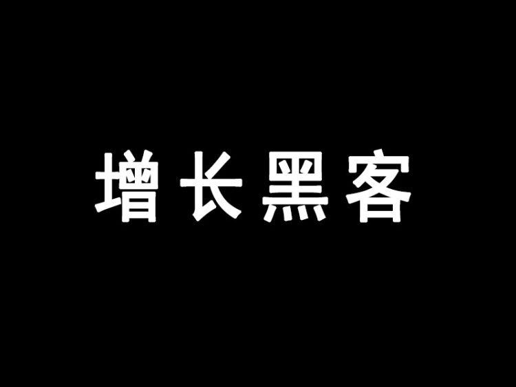 增长黑客pdf版完整版下载