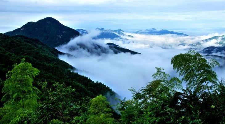 大别山根据地在哪个省，哪个县（坐拥24县，谁才是真正的中心城市？）