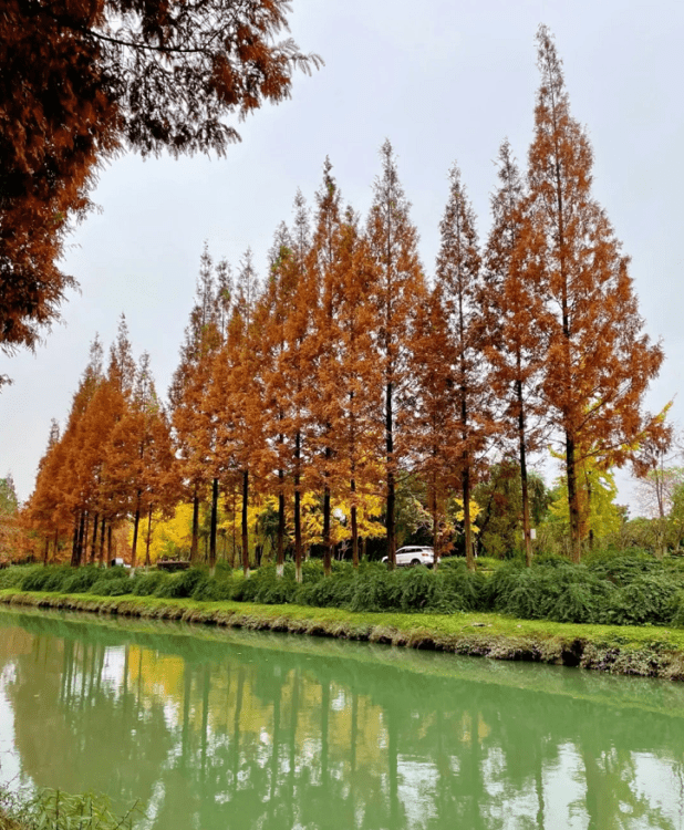 成都20个免费景区有哪些（十大一日游宝藏地推荐来了！大多还免费）