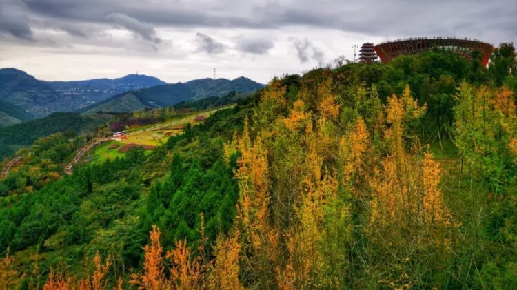 成都20个免费景区有哪些（十大一日游宝藏地推荐来了！大多还免费）