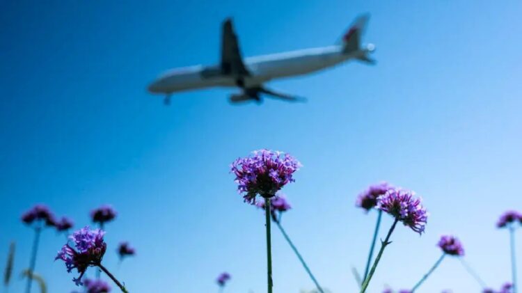 成都20个免费景区有哪些（十大一日游宝藏地推荐来了！大多还免费）