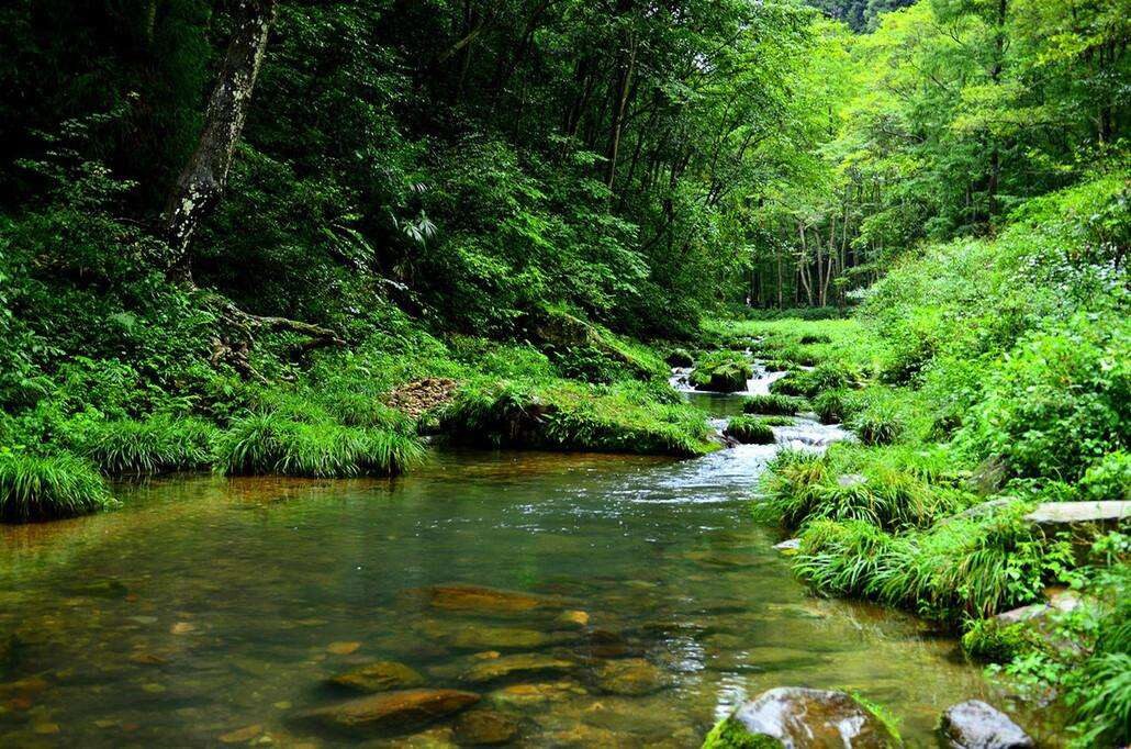 两岸景点目不暇接,以金鞭岩,神鹰护鞭,文星岩,紫草潭,千里相会,跳鱼潭