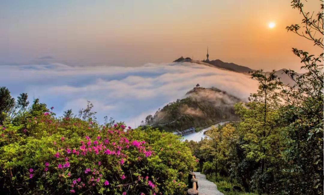 深圳梧桐山最佳登山路线（6大攀登线路，看这一篇就够了）