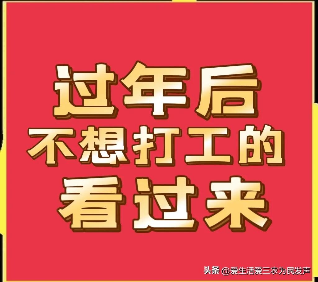 快速致富项目有哪些（年后不想打工，来做这五个小生意吧）